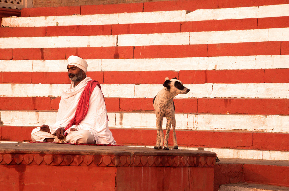 Varanasi Man Dog