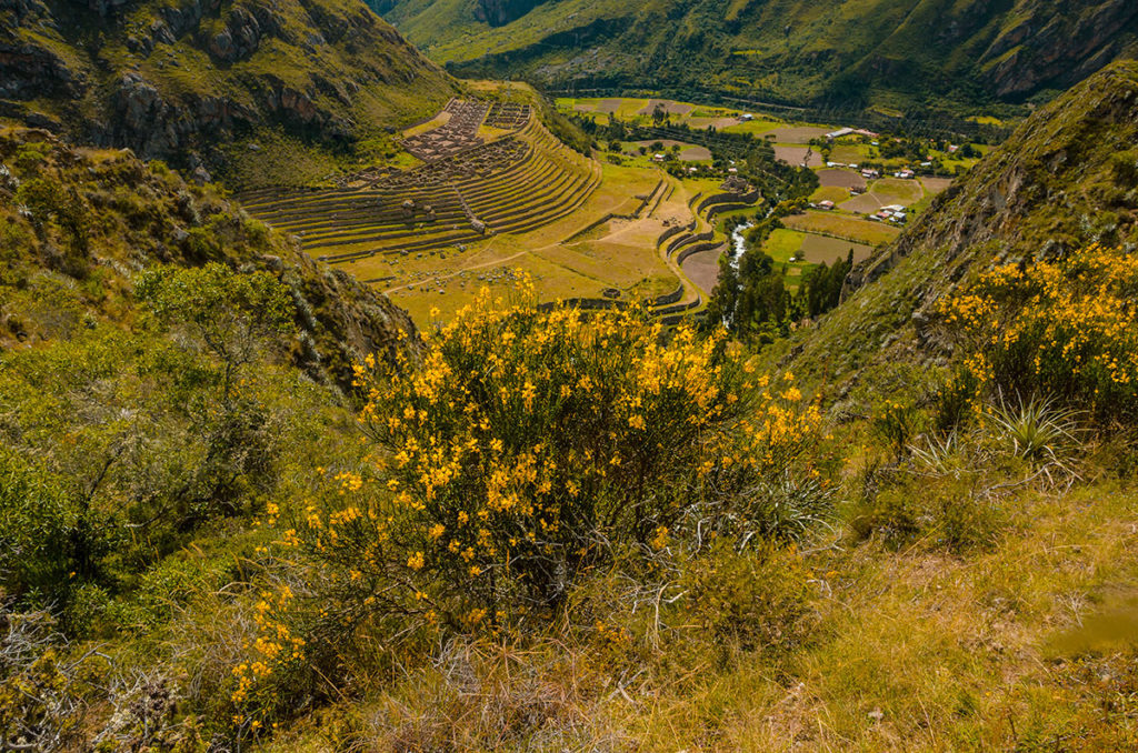 Patallacta rice terraces - Inca Trail