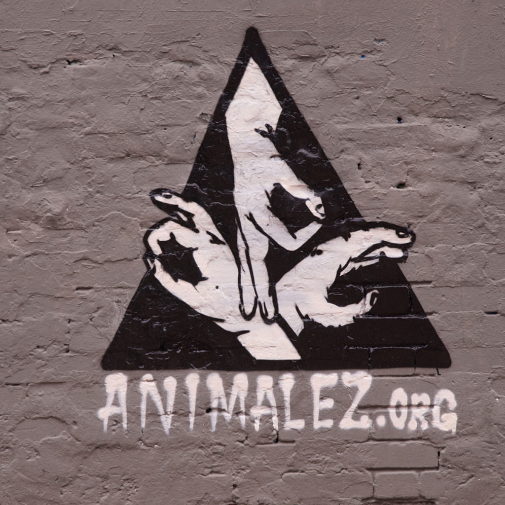 APC Logo Graffiti - Bogotá