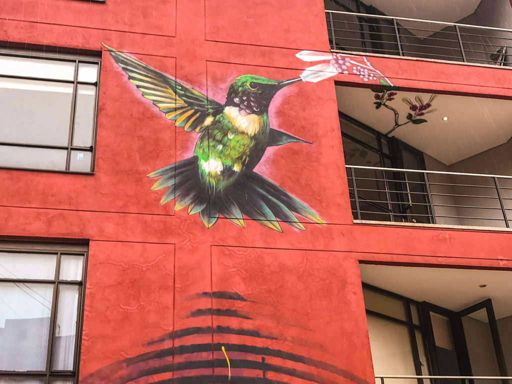 Hummingbird graffiti - Bogotá