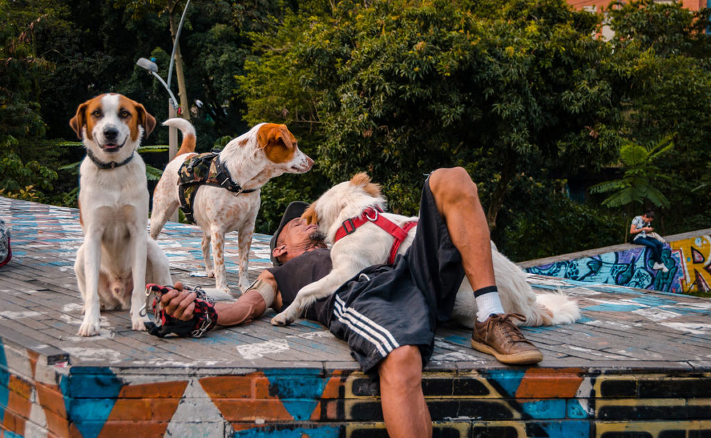 Man relaxing with his dogs - Medellin