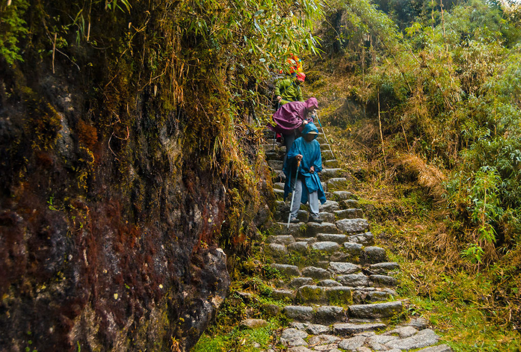 Going down the steps - Inca Trail