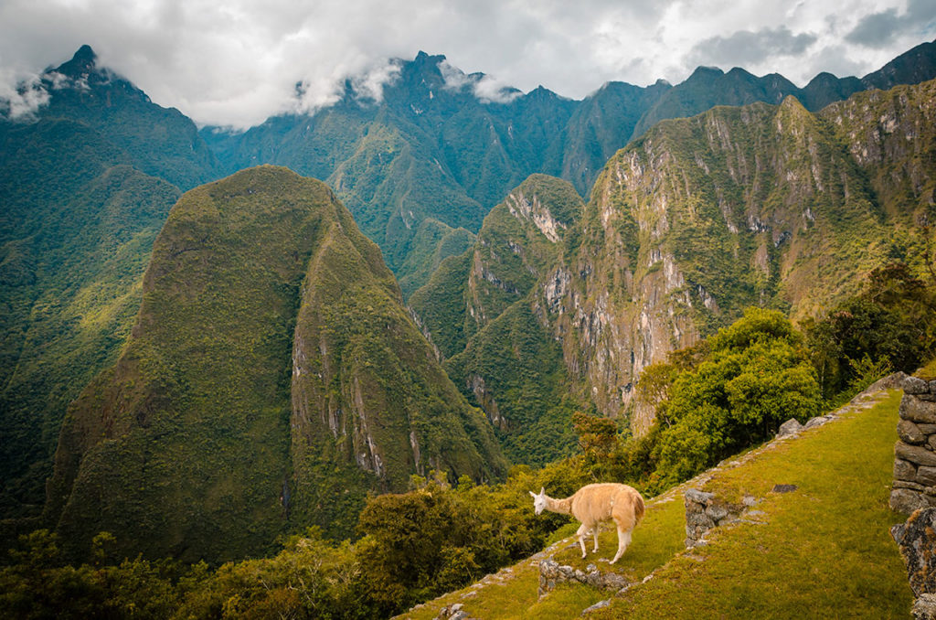 Mountain views from Machu Picchu - Peru
