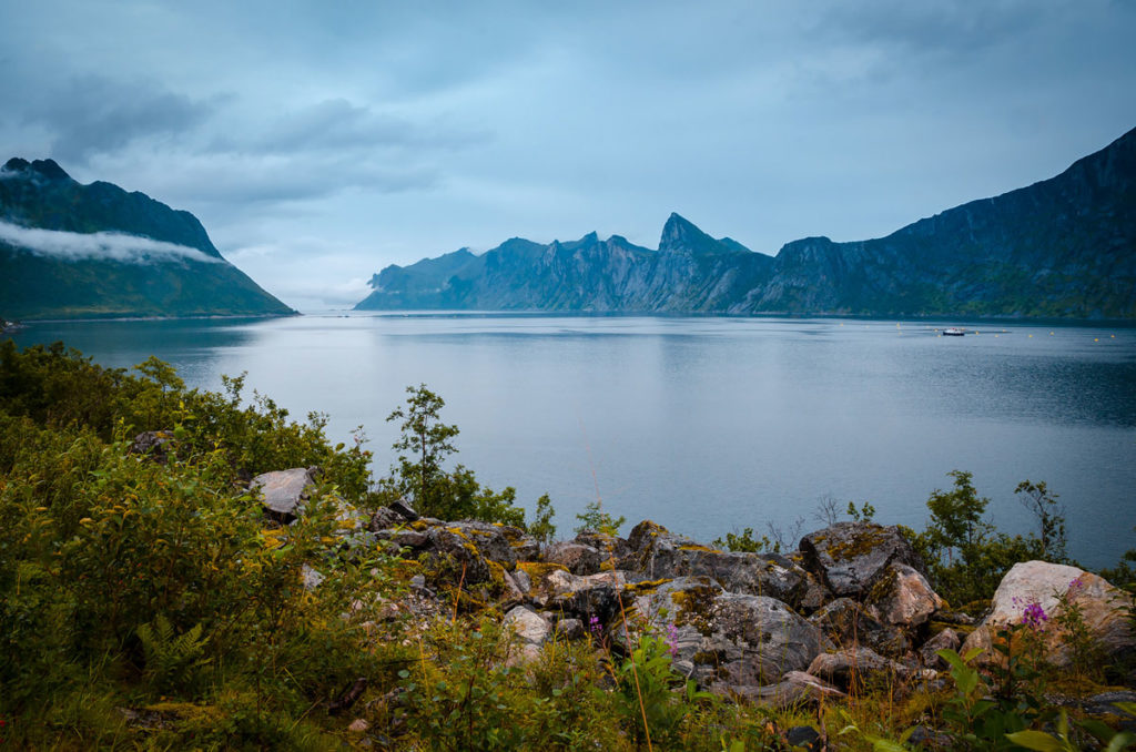 Senja Fjord - Norway