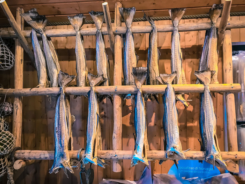 Dried cods on wooden stands - Reine