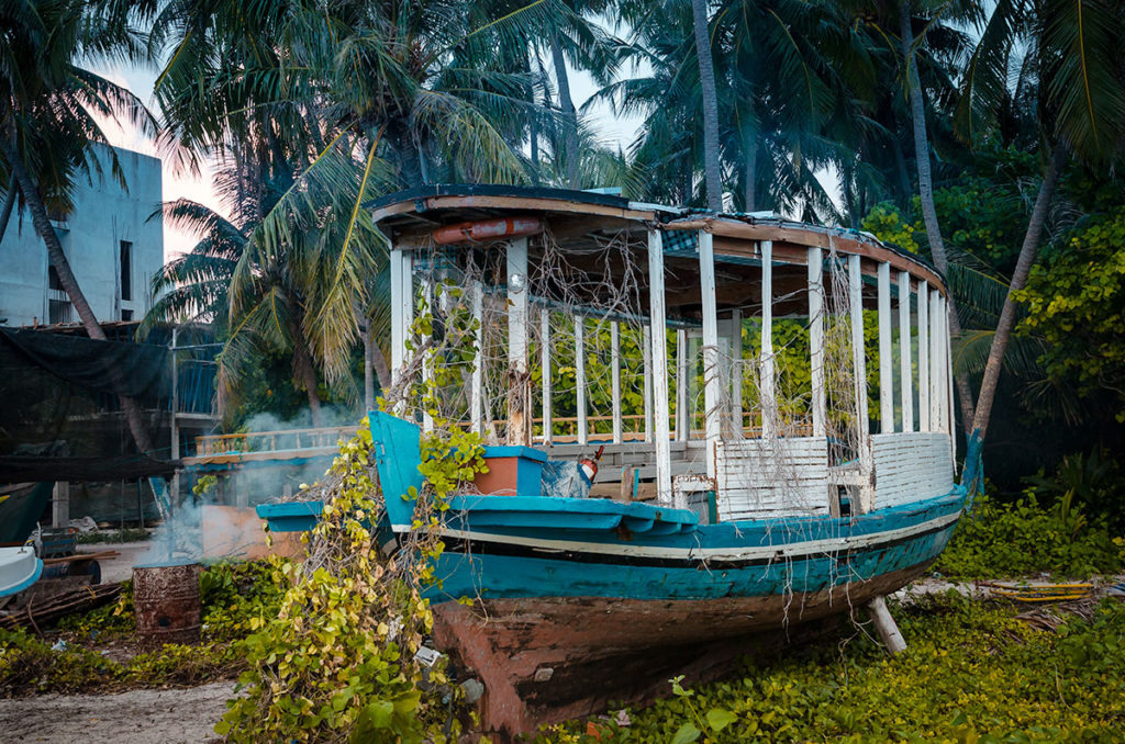 Old boat covered in vines - Dhigurah