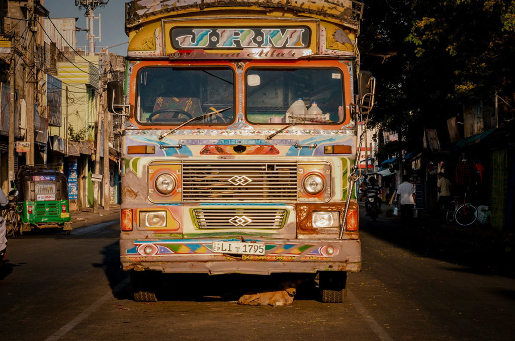 Sleeping dog under a colorful bus - Jaffna City