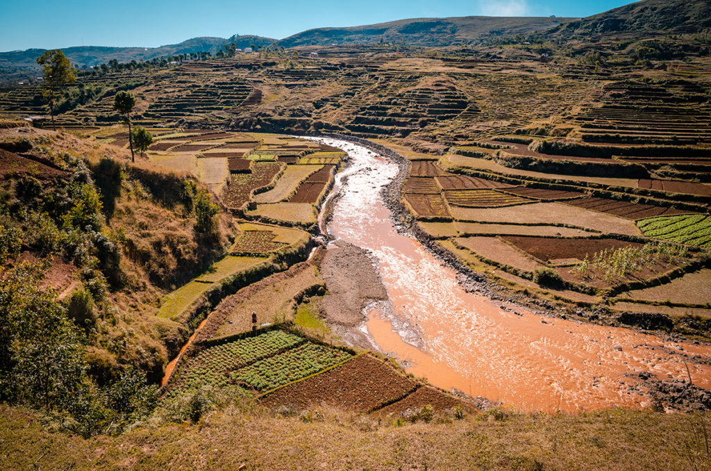 Terraced Crops in Madagascar