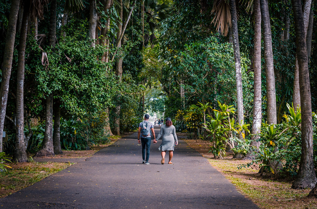 Sir Seewoosagur Ramgoolam Botanical Garden