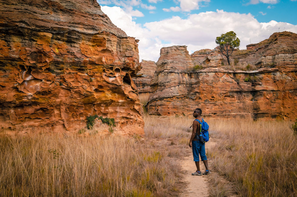 Path Through Isalo Canyon