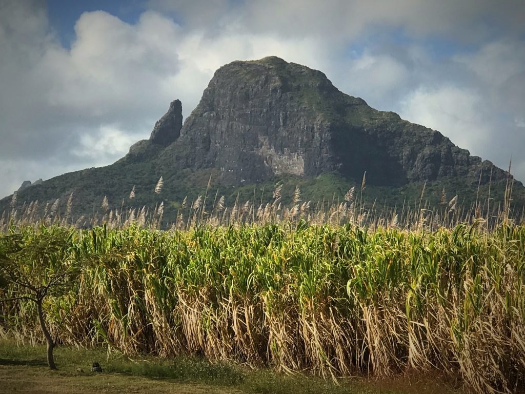 Le Pouce Mountain Mauritius