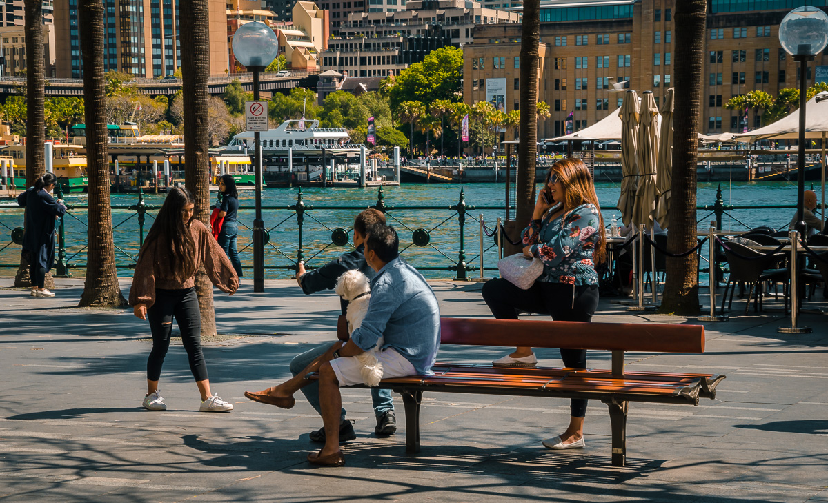 Sydney Harbour Plaza