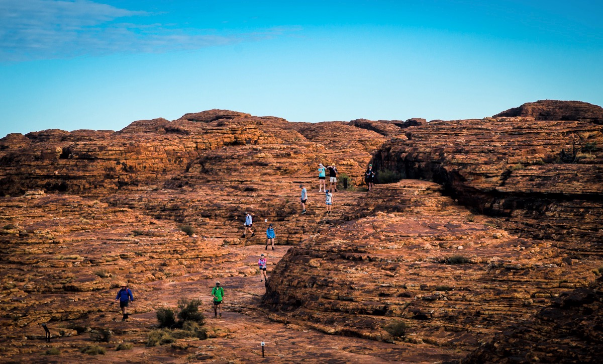 Kings Canyon Beehives