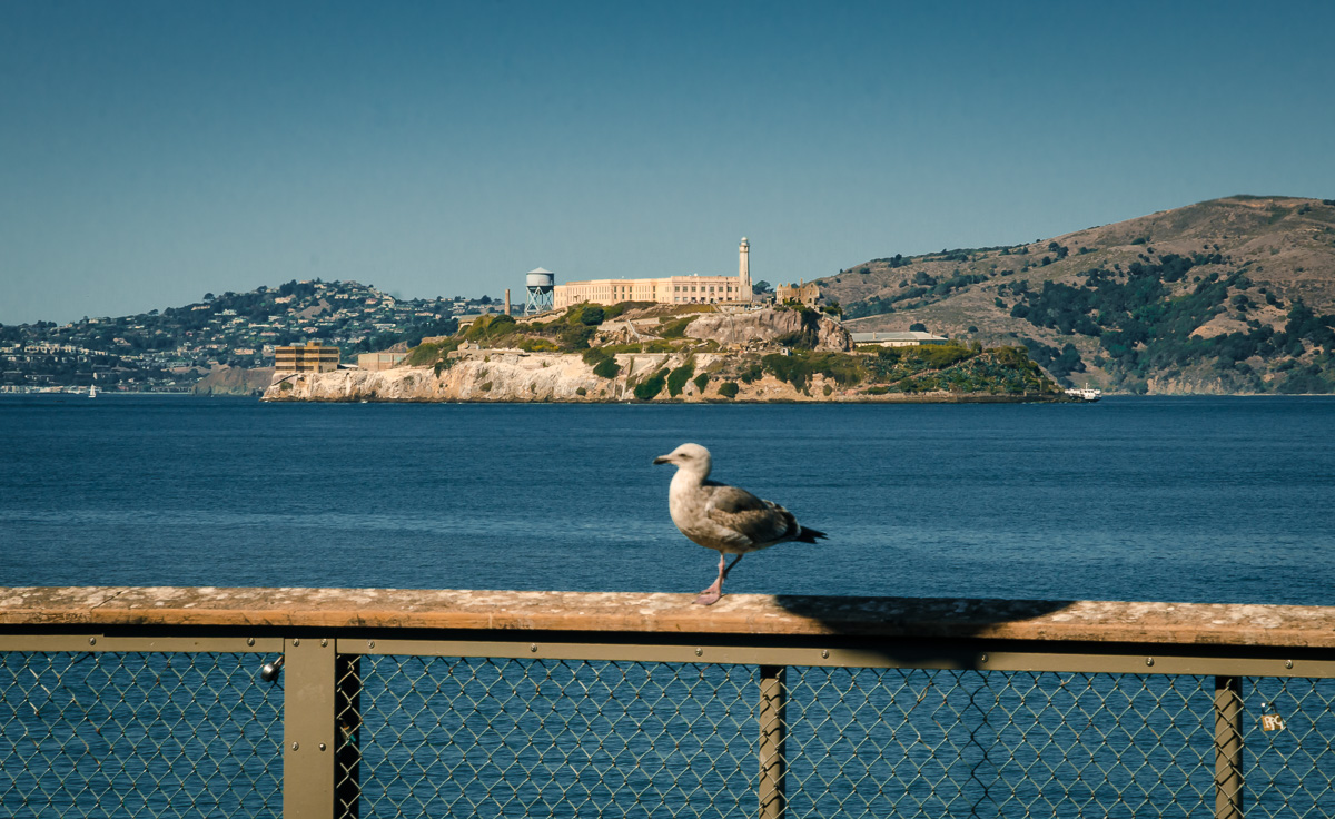 Alcatraz Penitentiary 