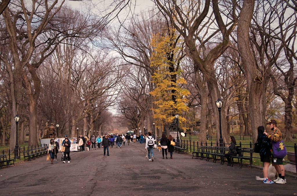 Literary Walk Central Park