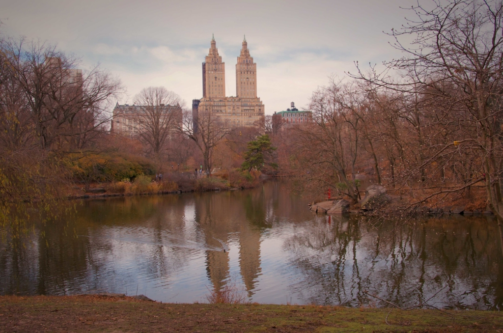 The Lake - Central Park