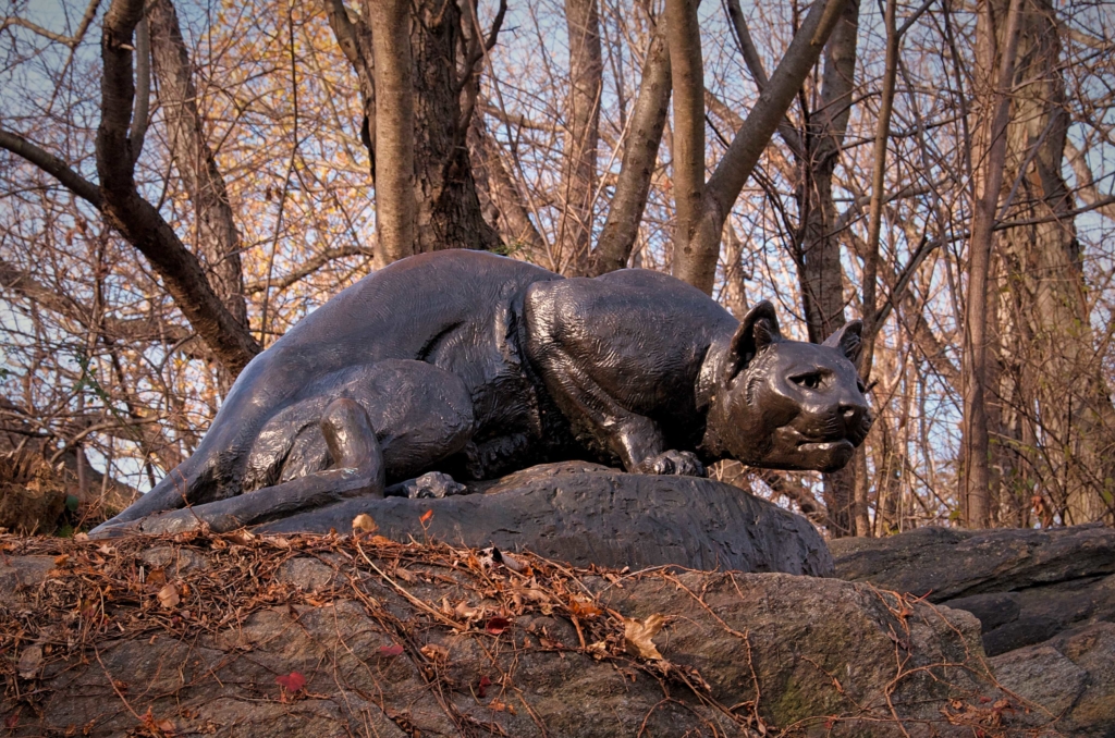 Central ParkStill Hunt Statue of a Panther