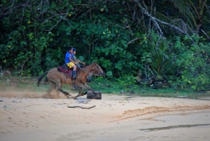 Bocas del Toro - Boys on Horses