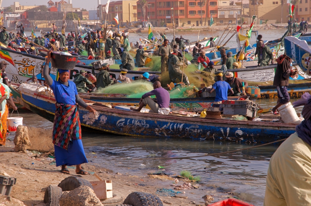 Fishing Boats Saint-Louis Senegal