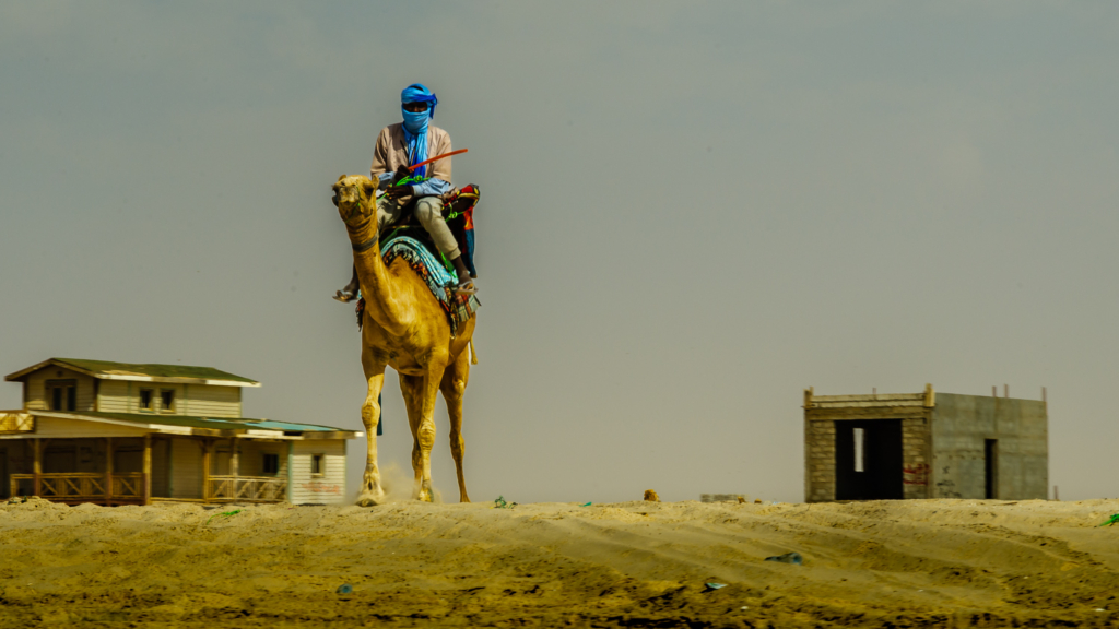 Man on Camel in Mauritania