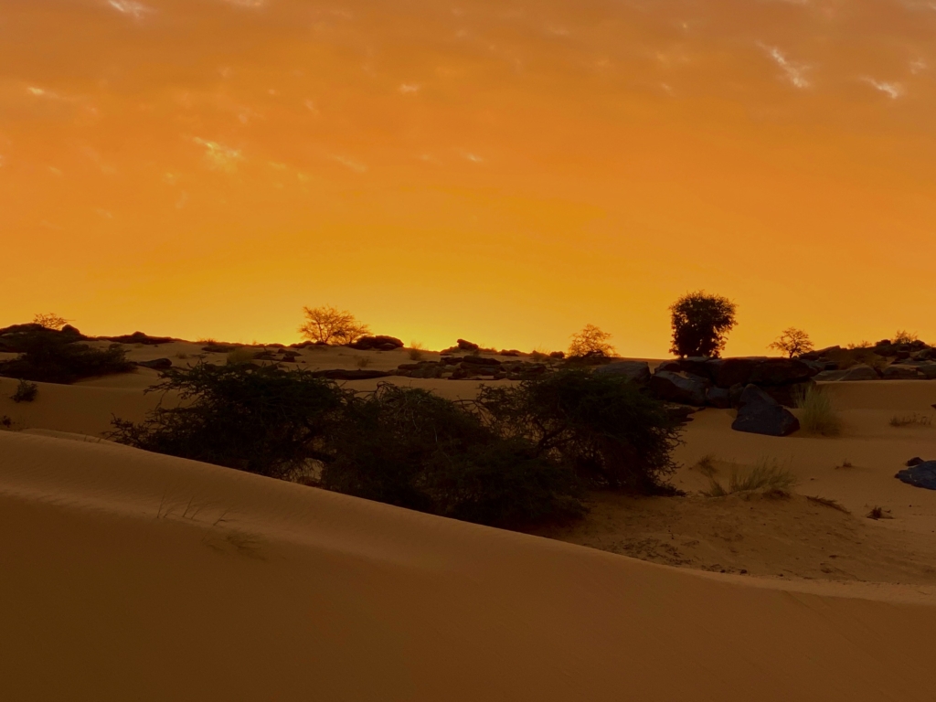 Terjit Desert, Mauritania