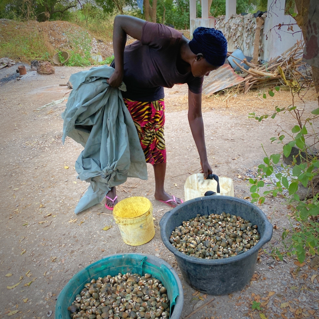TRY Oyster Women’s Association, Lamin, Gambia