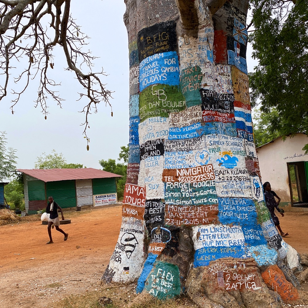 Lamin Village Billboard Tree, Gambia
