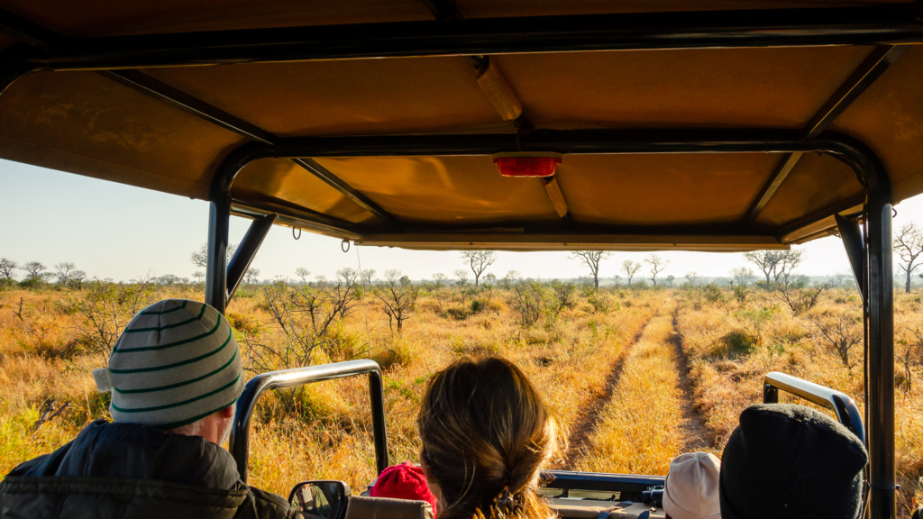 Game Drive – Kruger Park