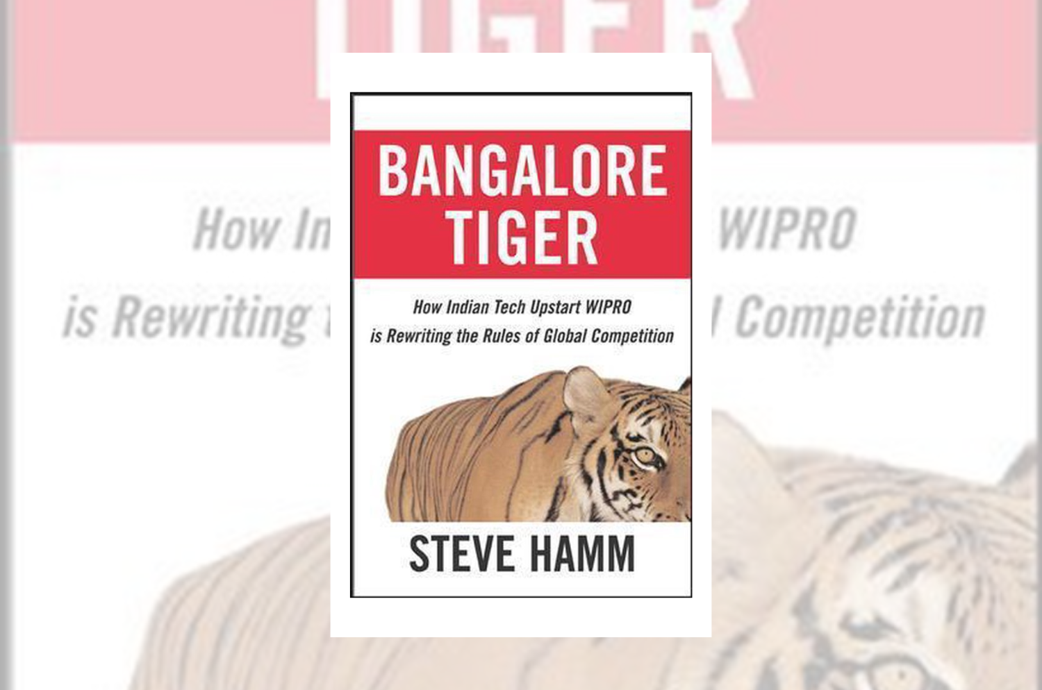 Bangalore Tiger - Exploring Ed